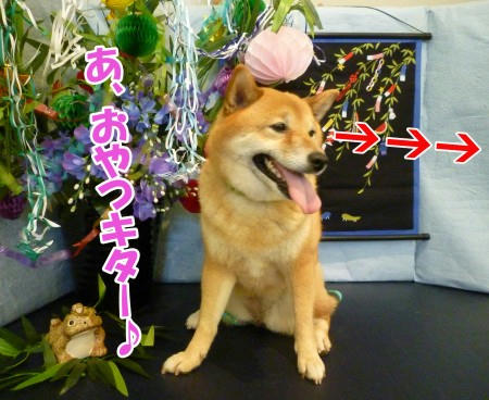 4ff0e513.jpeg