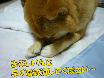 438a5931.jpeg