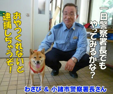 8488cfc8.jpg