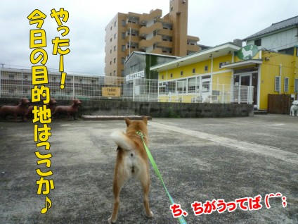 ecd6b6fb.jpeg