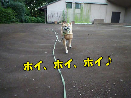 2df70690.jpeg