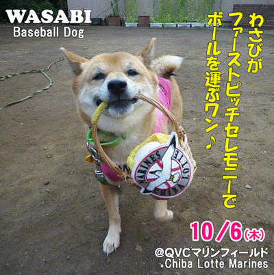 4aa98639.jpeg