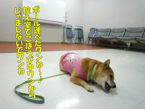 f0555c8f.jpeg