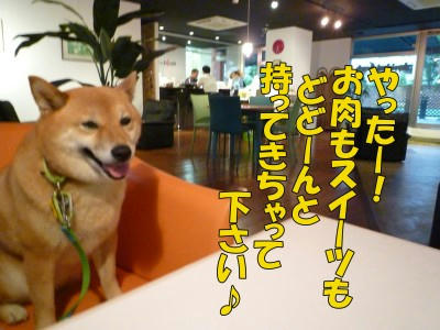 fa64ab91.jpeg