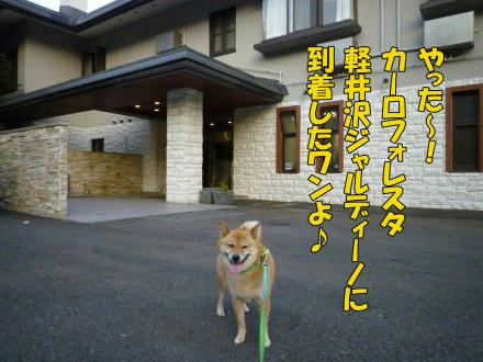 カーロフォレスタ 軽井沢ジャルディーノ お宿編 わさび音 Wasabi Ne