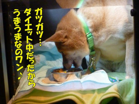 68d23797.jpeg