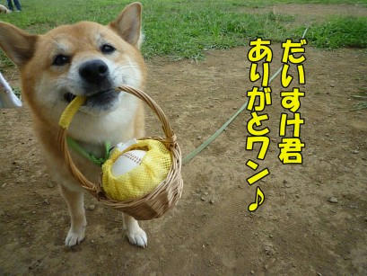544a7129.jpeg