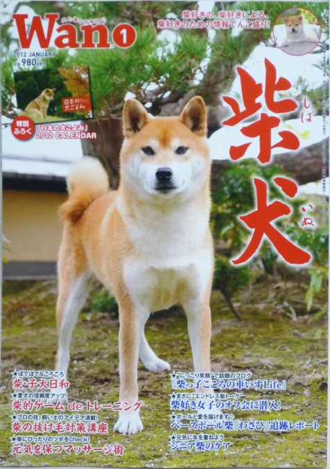 本日発売の Wan １月号 柴犬 特集にわさび掲載 わさび音 Wasabi Ne