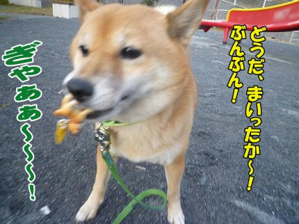 64ca4089.jpeg