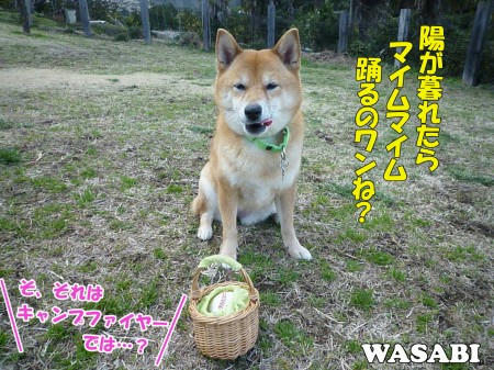 0d426925.jpeg