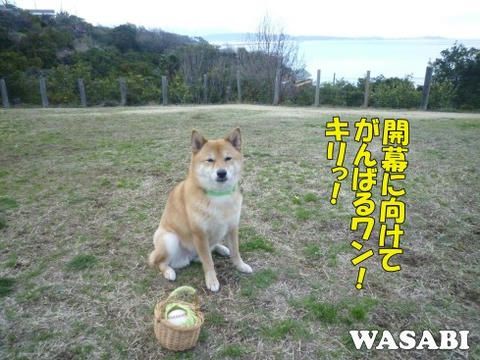 ddf1f7c1.jpeg