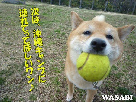 82dd7623.jpeg