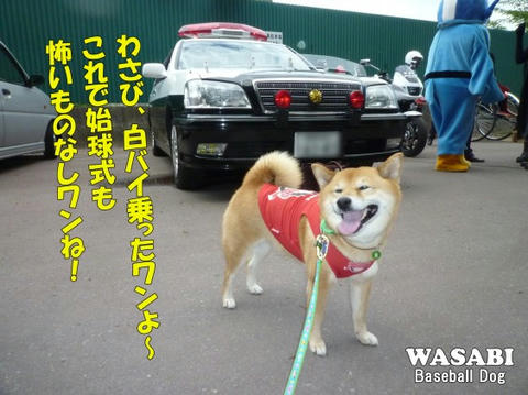 キャラクター大集合 白バイに乗ったよ わさび音 Wasabi Ne