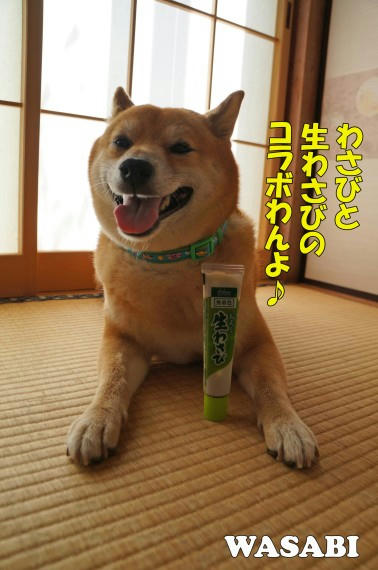 49794d1f.jpeg
