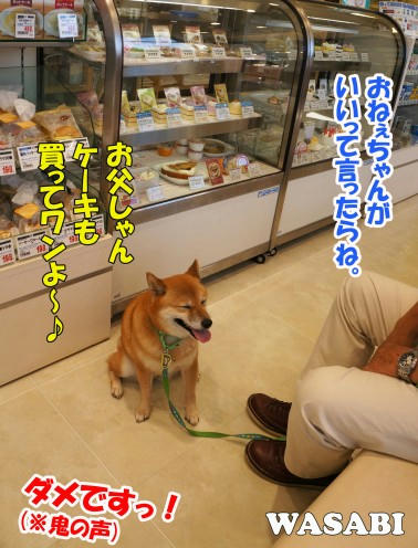 cd527445.jpeg