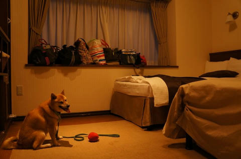 web-DSC02033.JPG