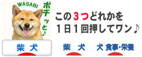 bd209250.jpeg