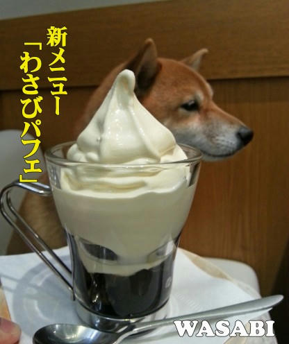 574773c1.jpeg