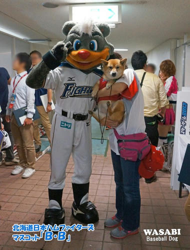 試合球に関して | マツダオールスターゲーム2013 | NPB.jp 日本