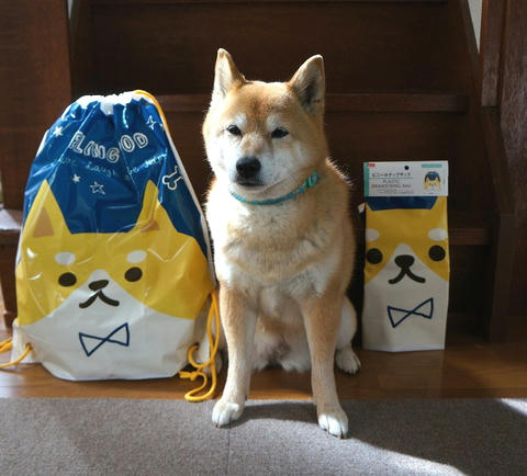 柴犬100円バッグと柴ドリル わさび音 Wasabi Ne