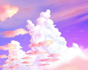 5b566c47.jpg