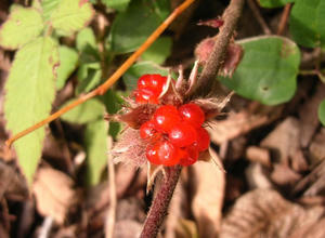 6b53842e.jpg