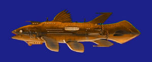 1108b465.jpg
