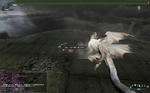 MHF_55.jpg