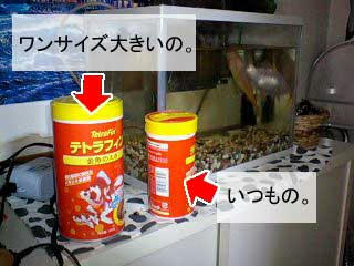 えさ。