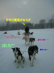 Cimg6467.jpg