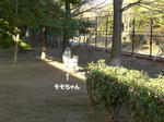 Cimg6604.jpg