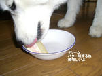 Cimg6788.jpg