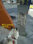 Cimg7093.jpg