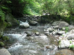 Cimg0460.jpg