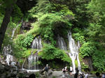 Cimg0463.jpg