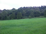 Cimg0472.jpg