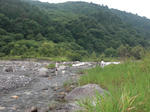 Cimg0482.jpg