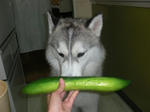Cimg0550.jpg
