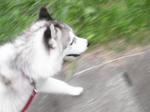 Pic_0002.jpg