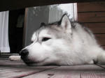 Pic_0011.jpg