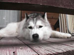 Pic_0014.jpg