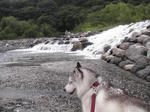 Pic_0024.jpg