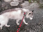 Pic_0025.jpg