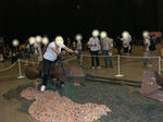 Cimg0591.jpg