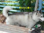 Cimg0678.jpg