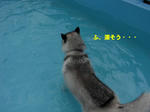 Cimg0679.jpg