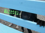 Cimg0685.jpg