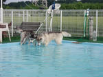 Cimg0778.jpg