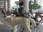 Cimg1106.jpg