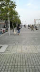 2009041216570000.jpg
